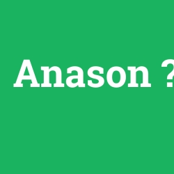 Anason