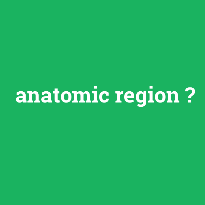 anatomic region, anatomic region nedir ,anatomic region ne demek
