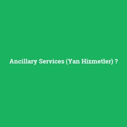 Ancillary Services (Yan Hizmetler)