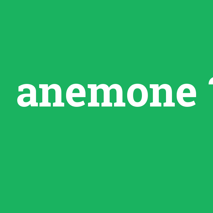 anemone, anemone nedir ,anemone ne demek