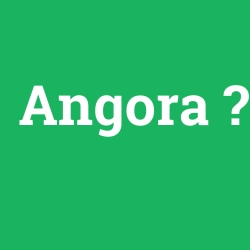 angora