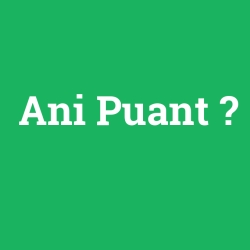 Ani Puant
