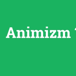 Animizm foto galeri