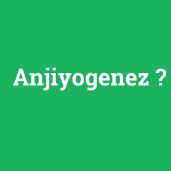 Anjiyogenez