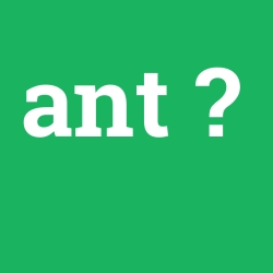 ant