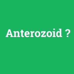 Anterozoid