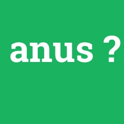 anüs