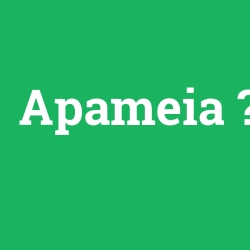 Apameia