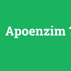 Apoenzim