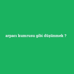 arpacı kumrusu gibi düşünmek