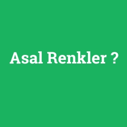 Asal Renkler
