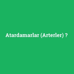 Atardamarlar (Arterler) foto galeri