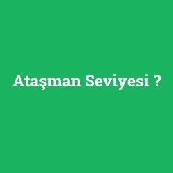 Ataşman Seviyesi
