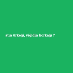 atın ürkeği, yiğidin korkağı