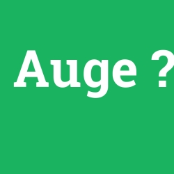 Auge