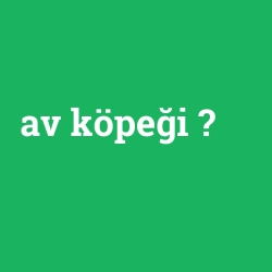 av köpeği
