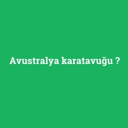 Avustralya karatavuğu