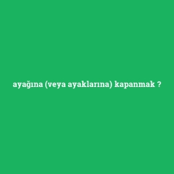 ayağına (veya ayaklarına) kapanmak foto galeri