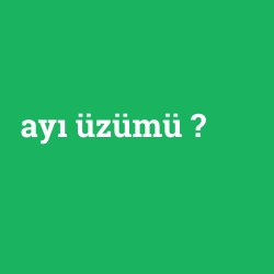 ayı üzümü