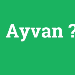 Ayvan