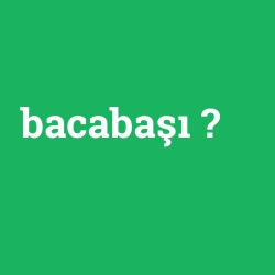 bacabaşı