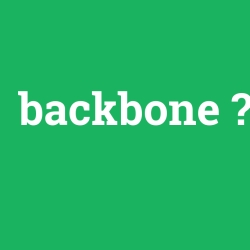 BACKBONE