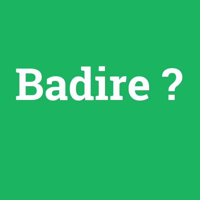 Badire, Badire nedir ,Badire ne demek