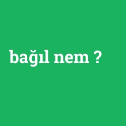 bağıl nem