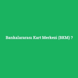 Bankalararası Kart Merkezi (BKM)