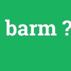 barm, barm nedir ,barm ne demek
