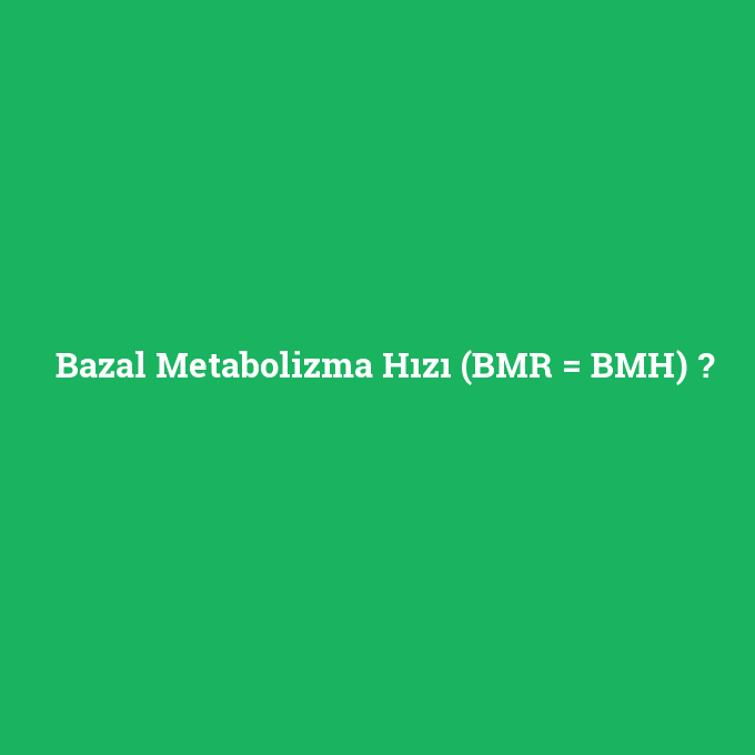 Bazal Metabolizma Hızı (BMR = BMH), Bazal Metabolizma Hızı (BMR = BMH) nedir ,Bazal Metabolizma Hızı (BMR = BMH) ne demek