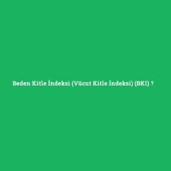 Beden Kitle İndeksi (Vücut Kitle İndeksi) (BKI)