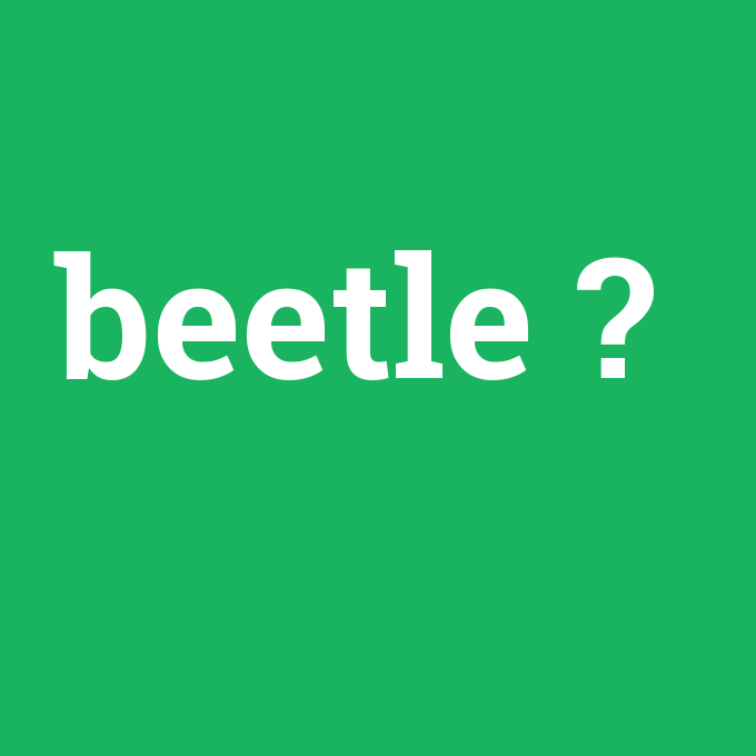beetle, beetle nedir ,beetle ne demek