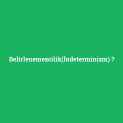 Belirlenemezcilik(İndeterminizm) foto galeri