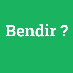 Bendir