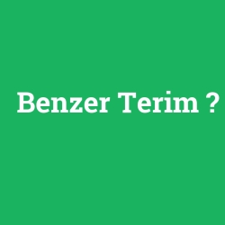 Benzer Terim