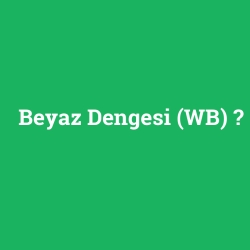 Beyaz Dengesi (WB) foto galeri
