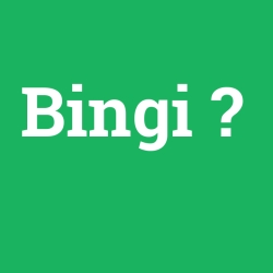 Bingi