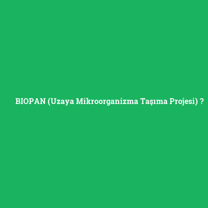BIOPAN (Uzaya Mikroorganizma Taşıma Projesi), BIOPAN (Uzaya Mikroorganizma Taşıma Projesi) nedir ,BIOPAN (Uzaya Mikroorganizma Taşıma Projesi) ne demek