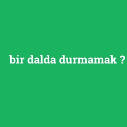 bir dalda durmamak foto galeri