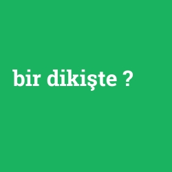 bir dikişte