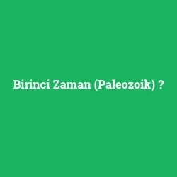 Birinci Zaman (Paleozoik)