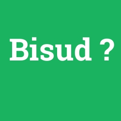 Bisud