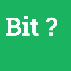 Bit