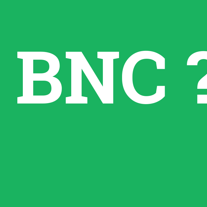 BNC, BNC nedir ,BNC ne demek