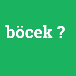 böcek