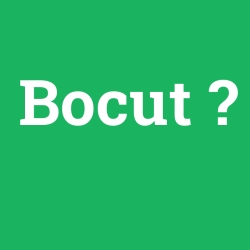 Bocut