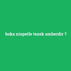 boka nispetle tezek amberdir foto galeri