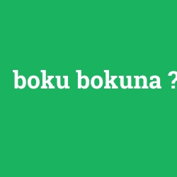 boku bokuna