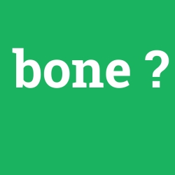 bone